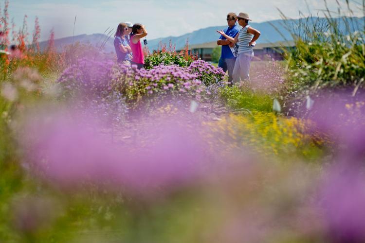 Greater yellowstone coordinating committee releases free xeriscaping