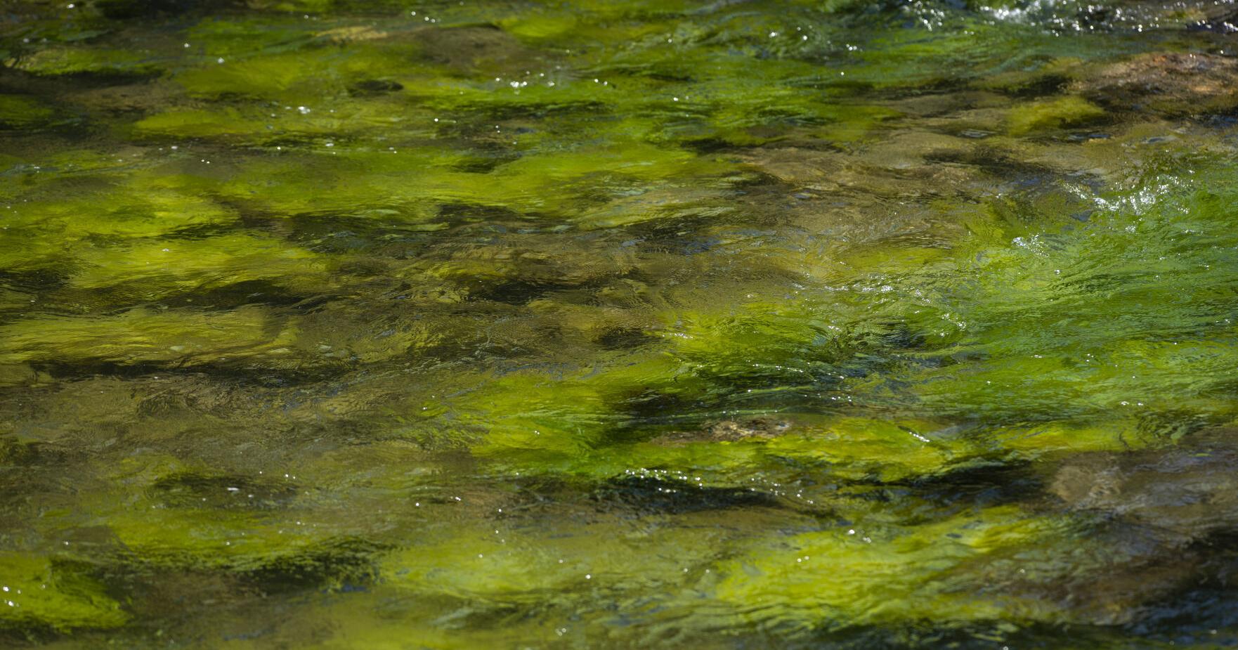 Monday meeting to provide updates on Gallatin River impairment designation - Vimarsana News