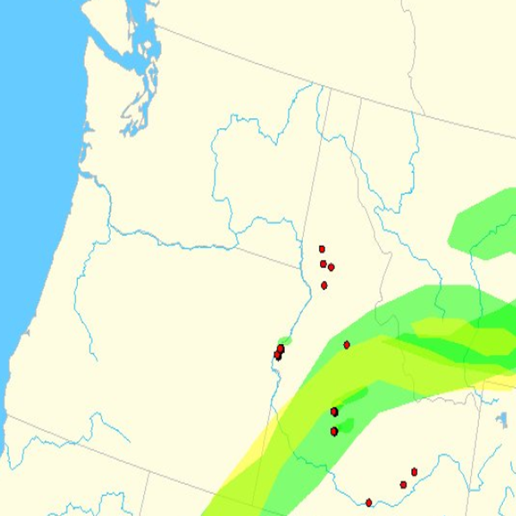 Smoke Over Gallatin Valley Coming From California Fires