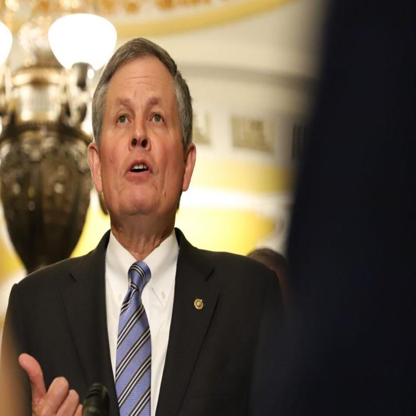 Term Limits Didn't End Daines' Senate Bid