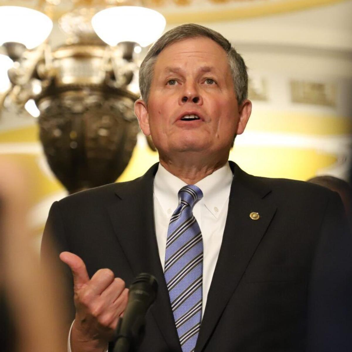 Term Limits Didn't End Daines' Senate Bid