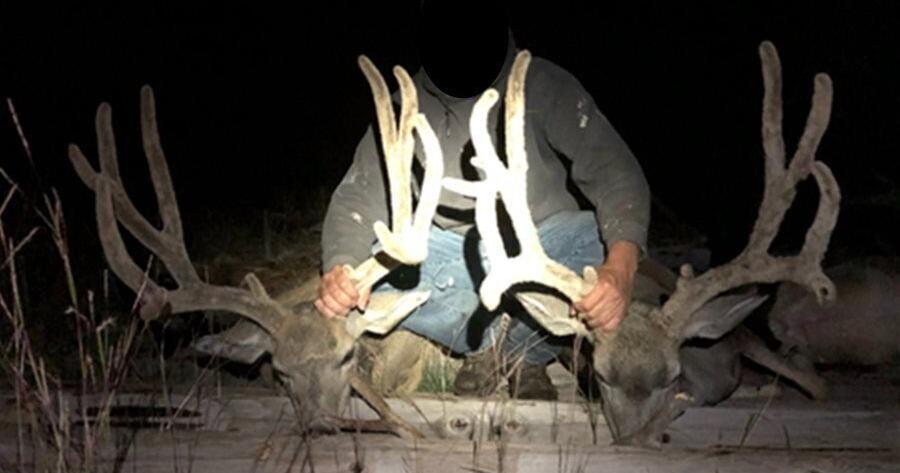 Wins for wildlife: Lawman turns tables on poachers by claiming trophies, but the prey is elusive