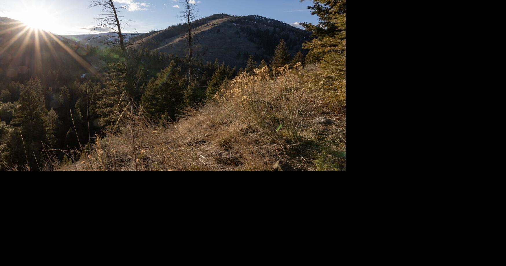 Exploration plan for Bitterroot rare-earth mining project to be revised