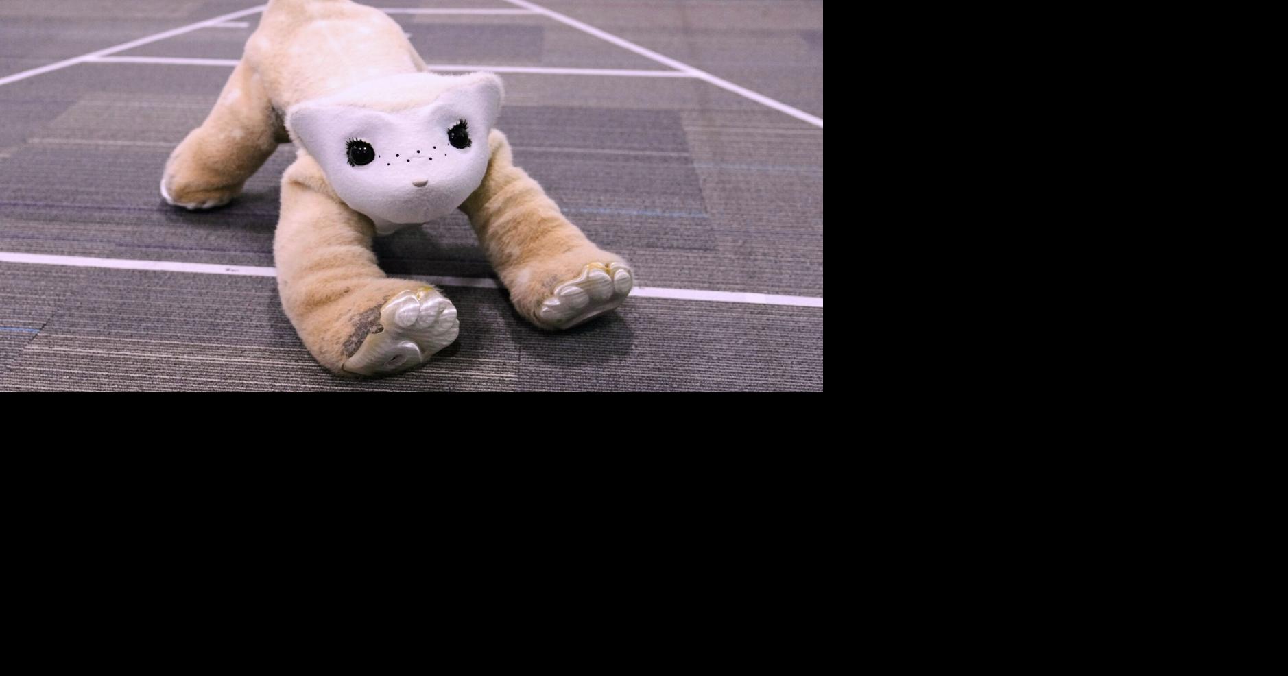 Roomba pioneer aims to crack the household market again with an AI-powered pet robot