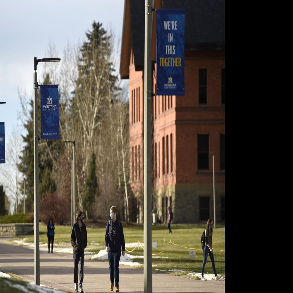 Faculty Raises Concerns Over Msu Testing Strategy Coronavirus Bozemandailychronicle Com