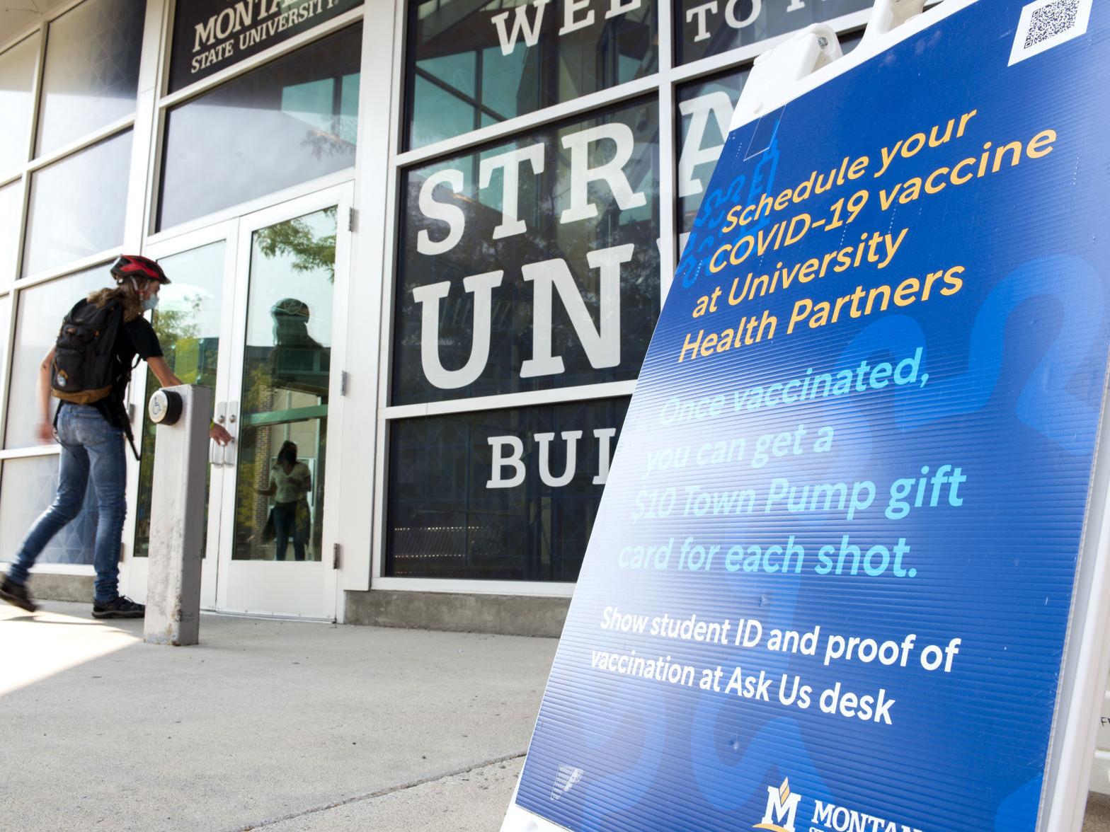 Masks Vaccines Take Center Stage At Montana State University Faculty Senate Montana State University Bozemandailychronicle Com Masks Vaccines Take Center Stage At Montana State University Faculty Senate Montana State University Bozemandailychronicle Com