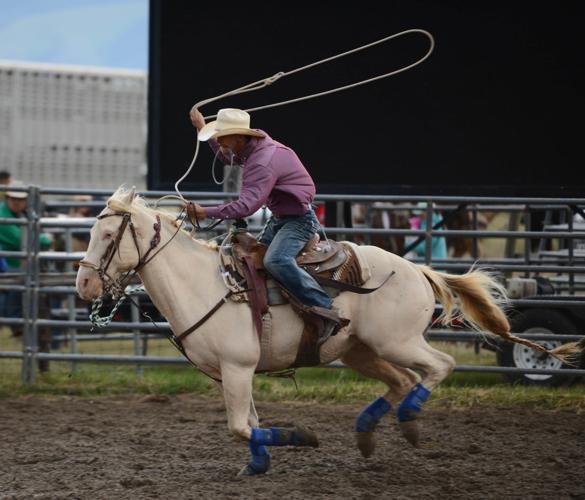 Photo gallery Ennis 4th of July Rodeo Local Sports