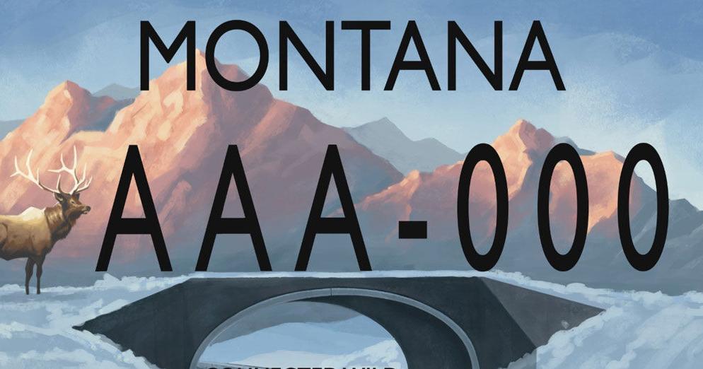 Montana wildlife crossing license plate available starting July 1