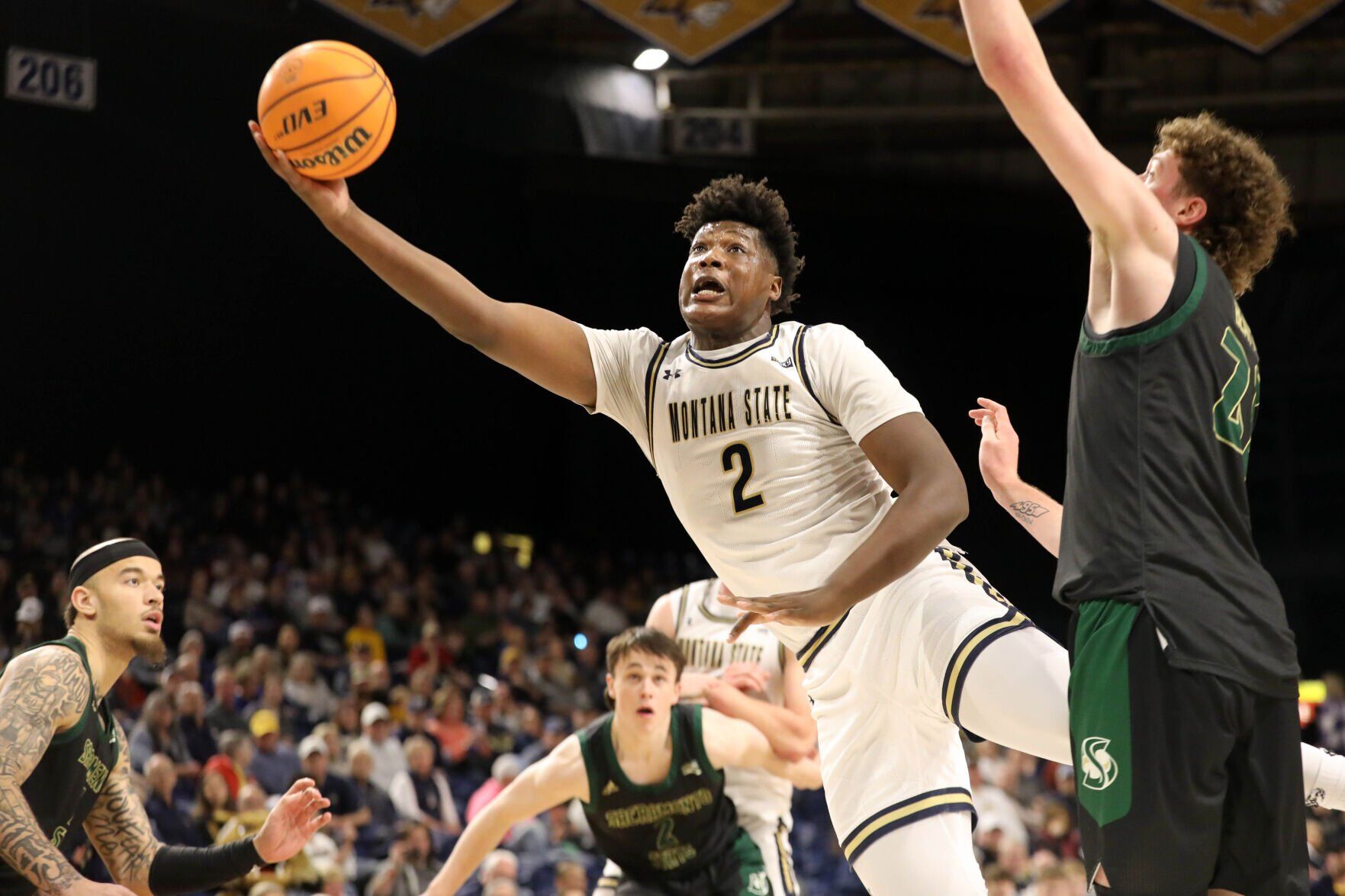 montana state bobcats men's basketball roster