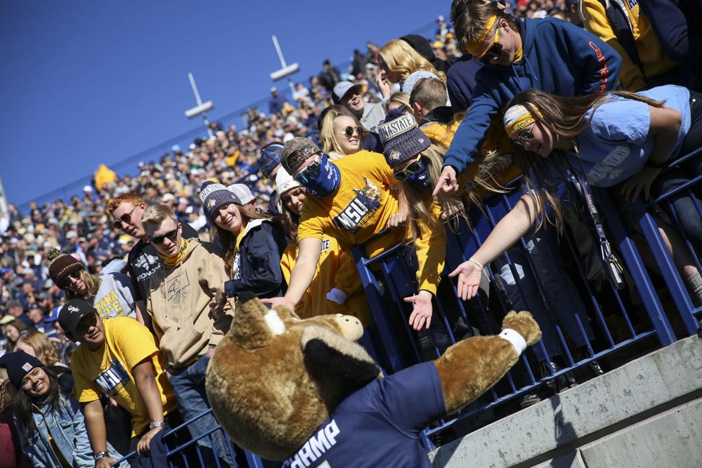 Number Of Teams Leaves Big Sky With Uncertain Future Bobcats
