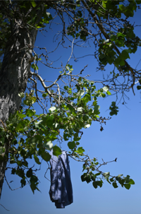View On the Blackfeet Reservation, families learn to search for their own missing relatives