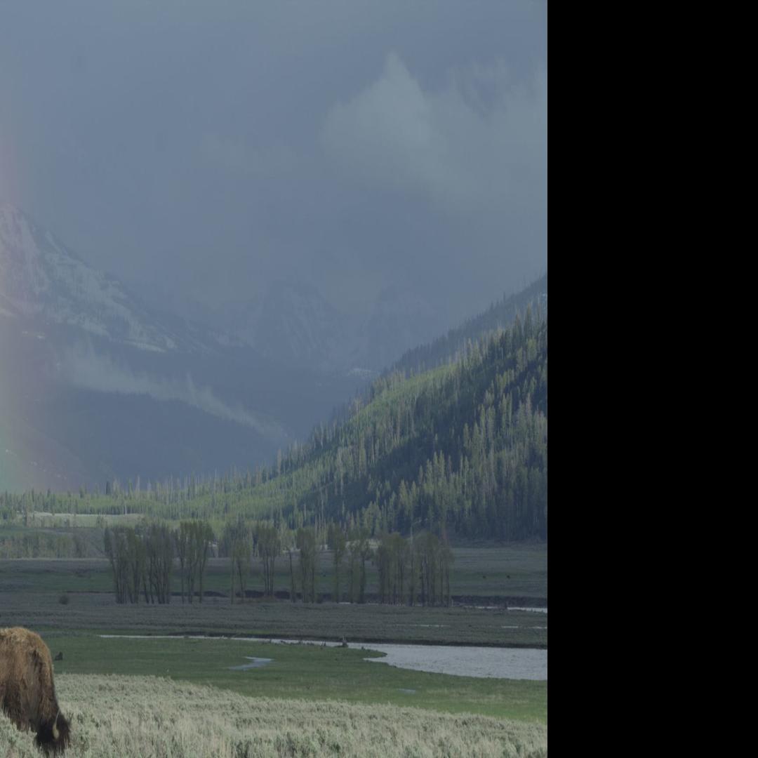 A New View Of The Park In Epic Yellowstone Film