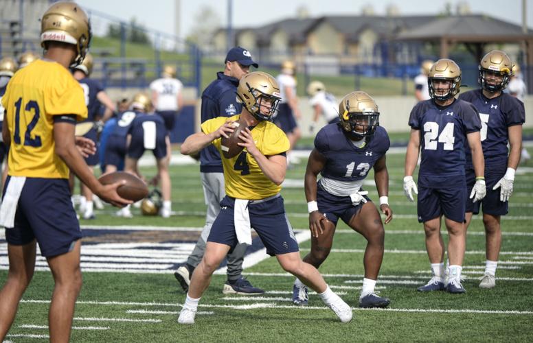A breakdown of Montana State's quarterbacks before the 2022 season