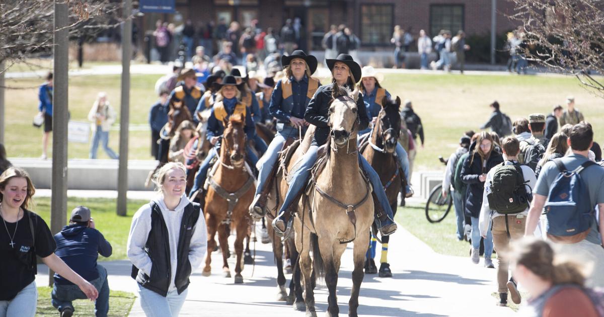 'One of the best': Bobcat Spring Rodeo kicks off this weekend ...