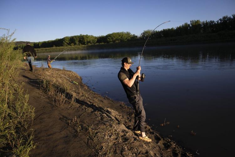 Paddlefish snagging grows in popularity in eastern Montana | Outdoors ...