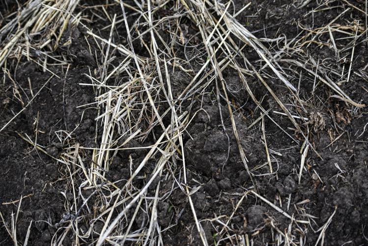 95acre property in south Bozeman in development pipeline City