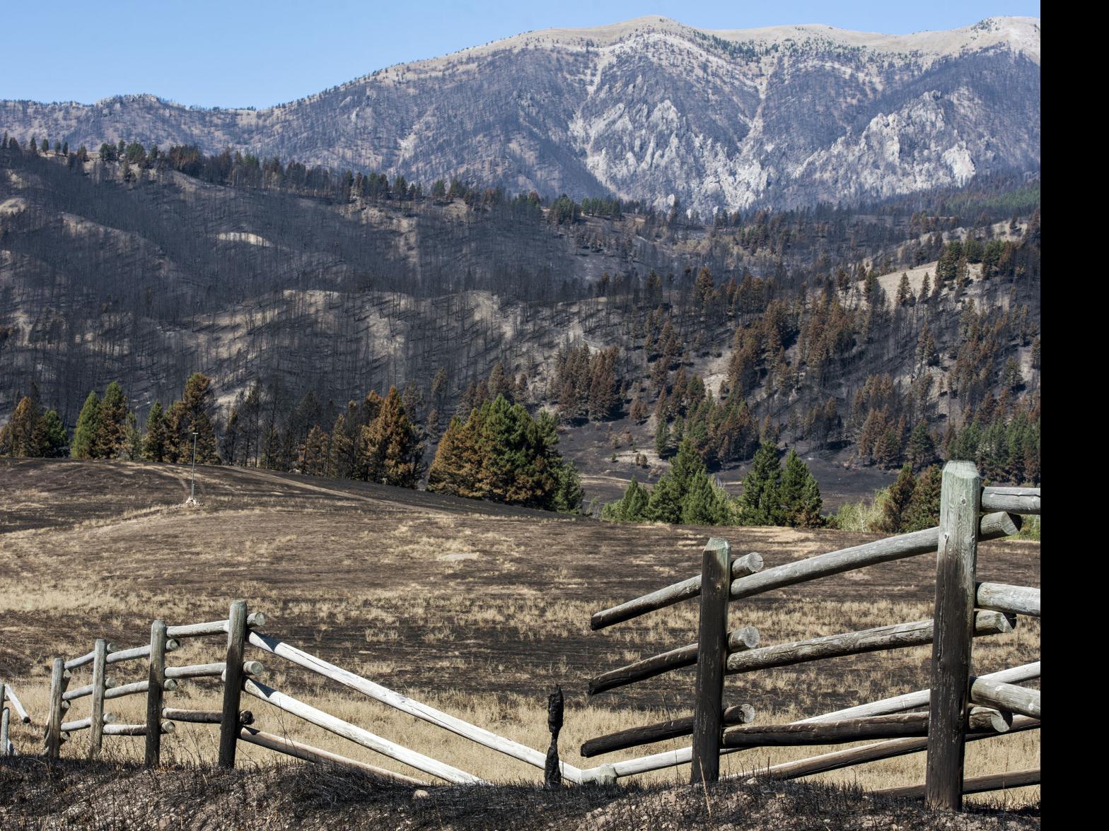 Life After Loss Bridger Foothills Fire Evacuees Share Their Stories News Bozemandailychronicle Com