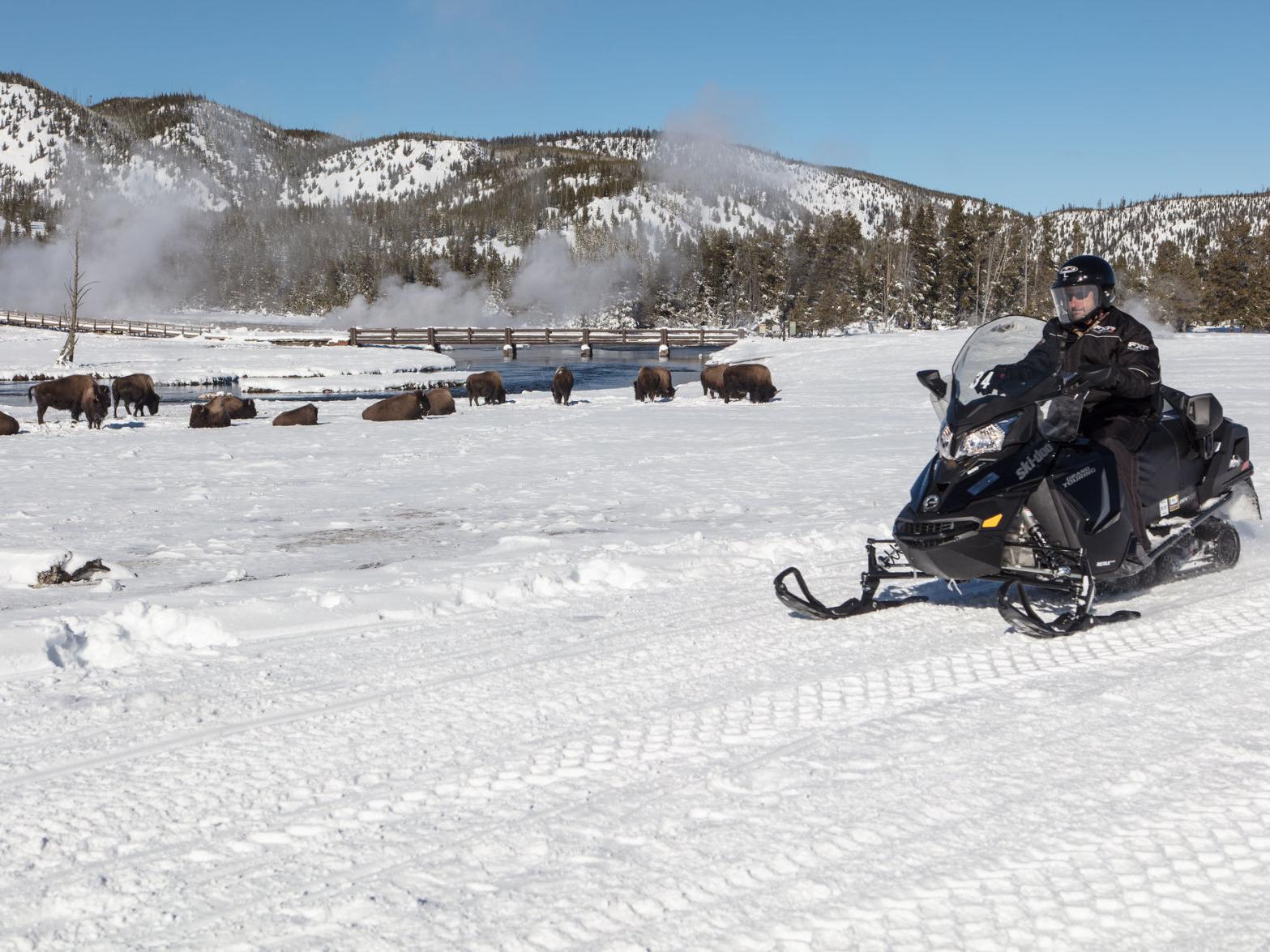 Yellowstone opens to oversnow travel with limited services amid pandemic - Vimarsana News
