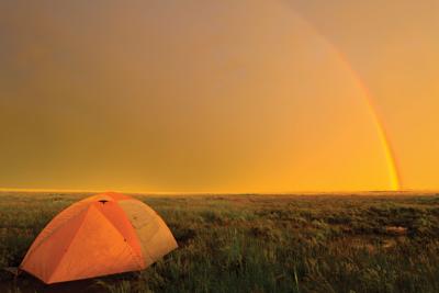 Luxury Camping Bison Spotting At The American Prairie Reserve Montana