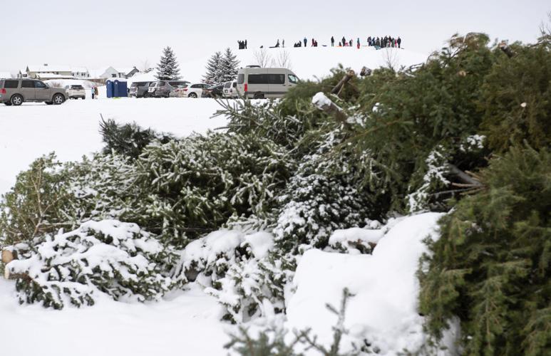Christmas tree dropoff sites are open around Bozeman News