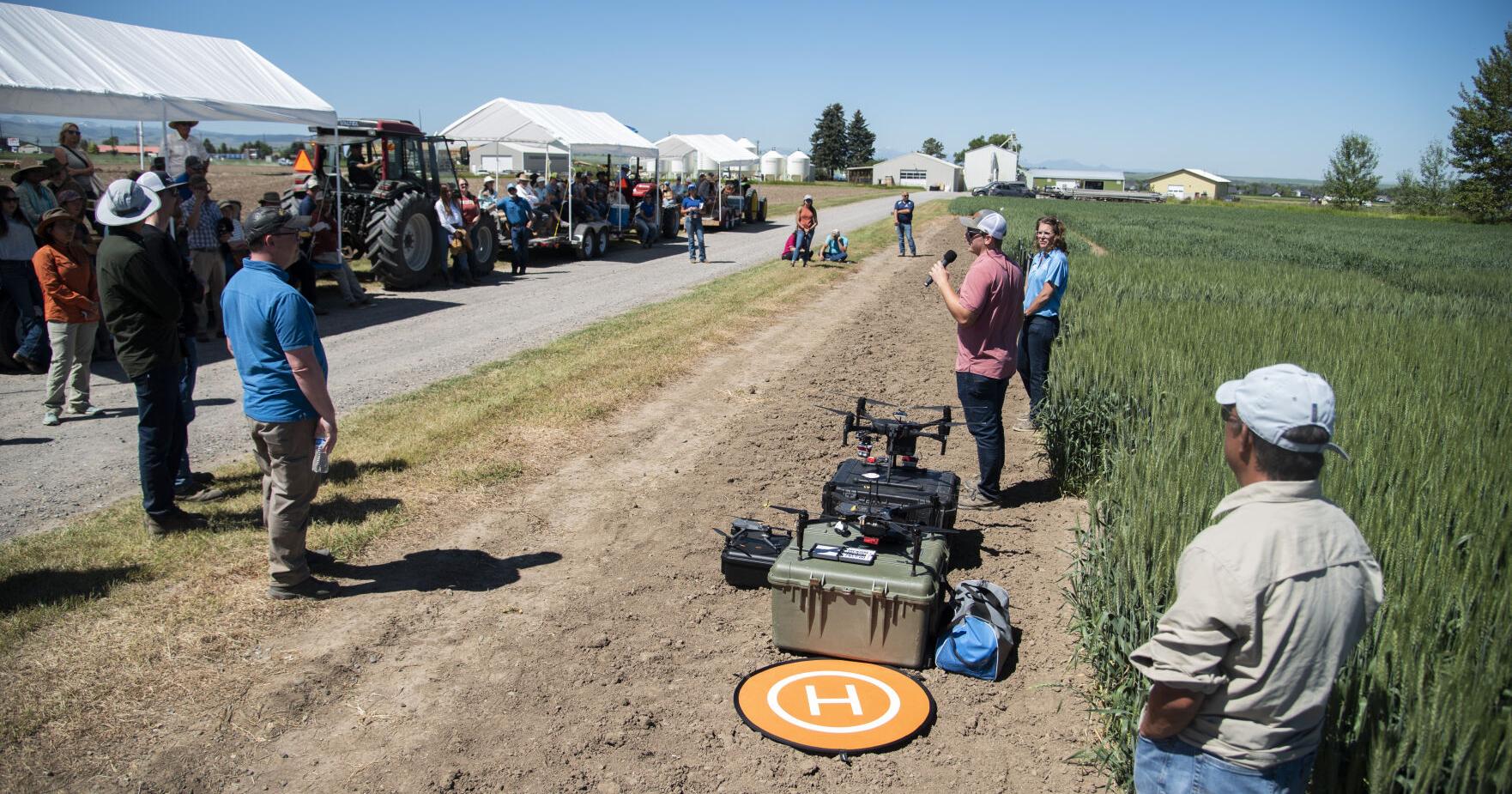 Montana State agriculture field day highlights research to help farmers - Vimarsana News