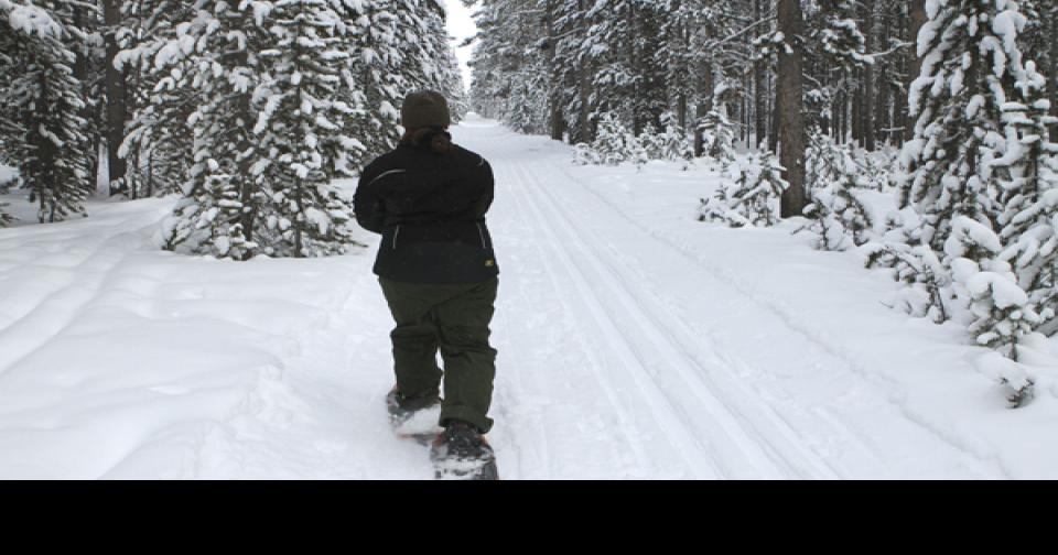 Snowshoeing offers unique way to see Yellowstone in winter News