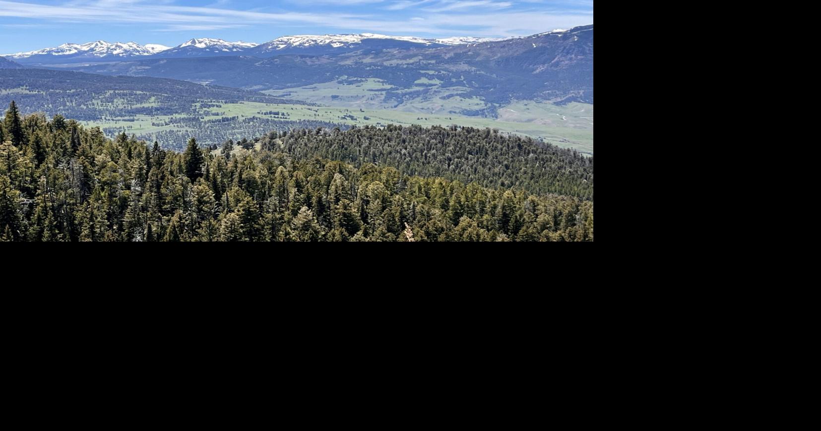 Custer-Gallatin National Forest has expanded by 161 acres with a new parcel of land acquired near Yellowstone National Park.