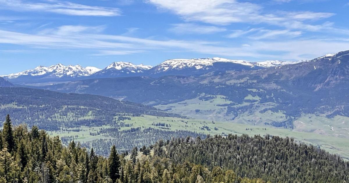 Custer-Gallatin National Forest has expanded by 161 acres with a new parcel of land acquired near Yellowstone National Park.