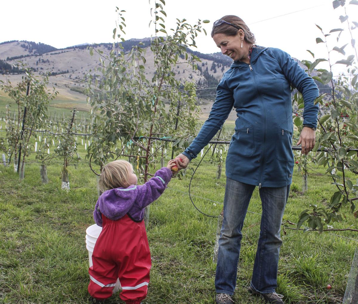 Backyard Blend Lockhorn Cider Turns Unwanted Apples Into