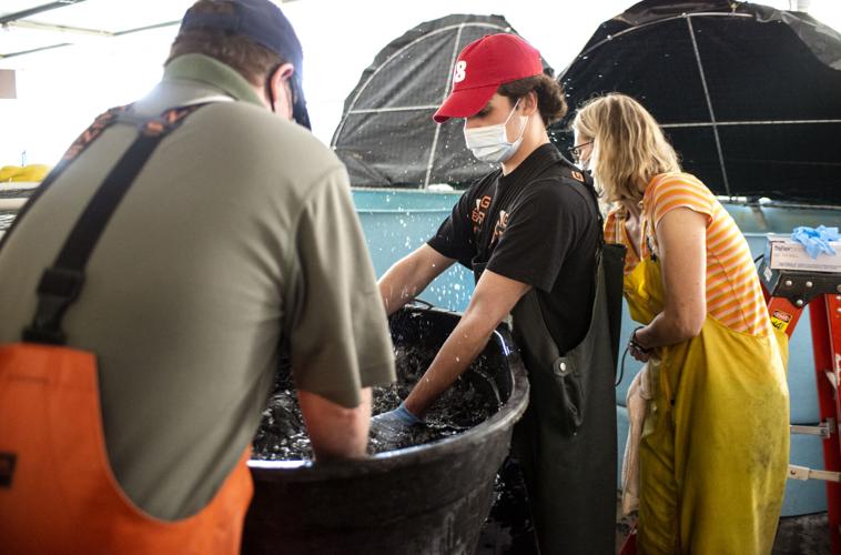 A pleasant spot The Bozeman Fish Technology Center marks its 130th