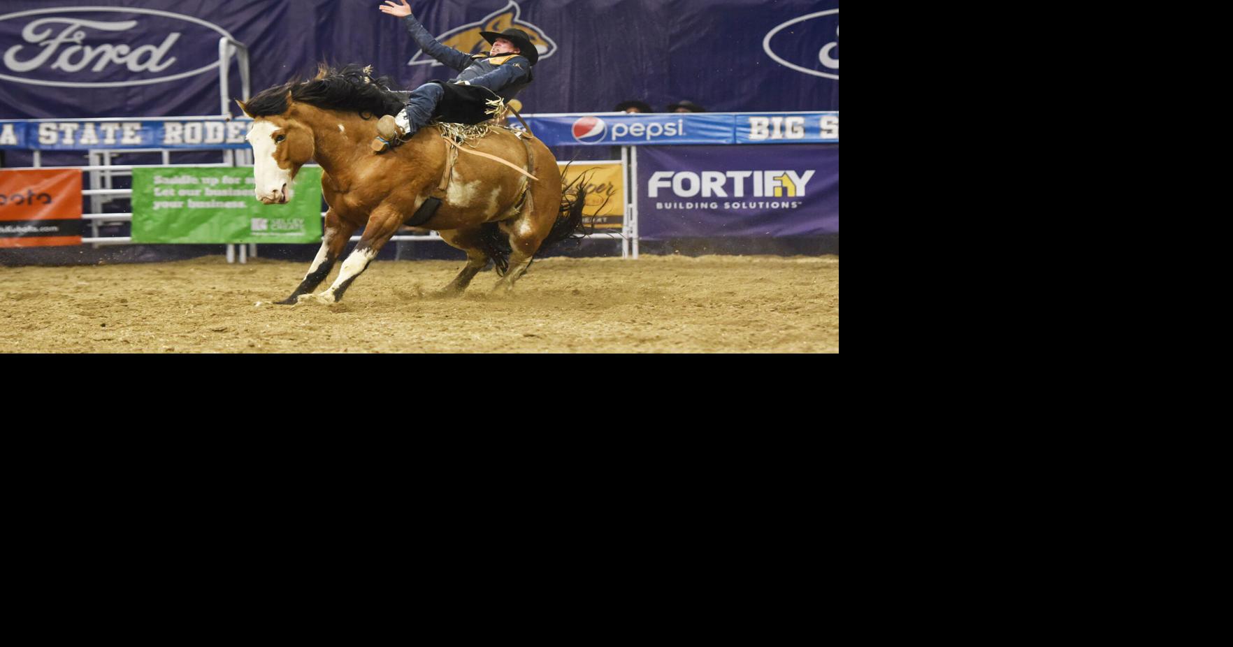 Montana State sweeps team titles again in second spring rodeo | Bobcats ...