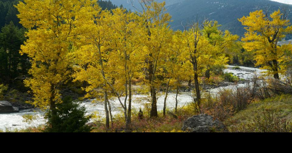 Upper Missouri water plan emphasizes well regulation Environment