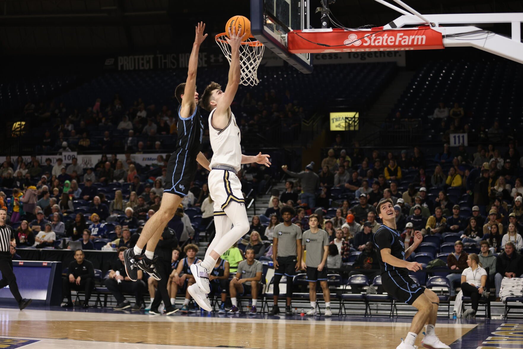 Montana State Men's Basketball Rolls Past Warner Pacific, Unveils Big ...