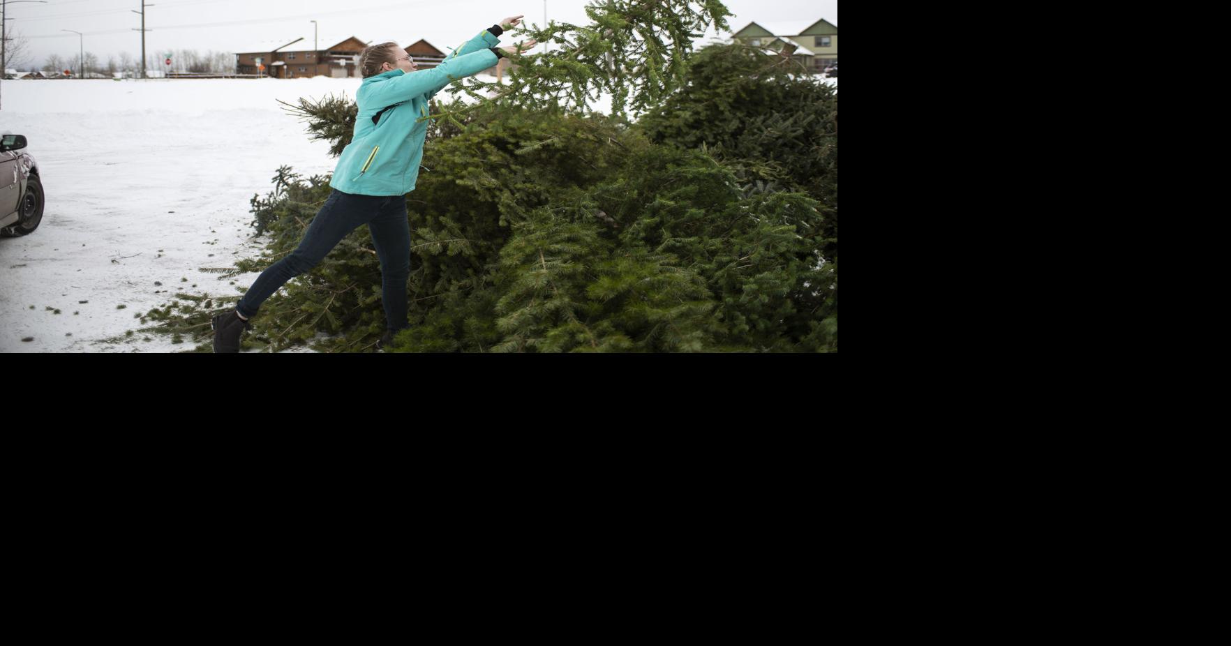 Christmas tree dropoff sites are open around Bozeman News