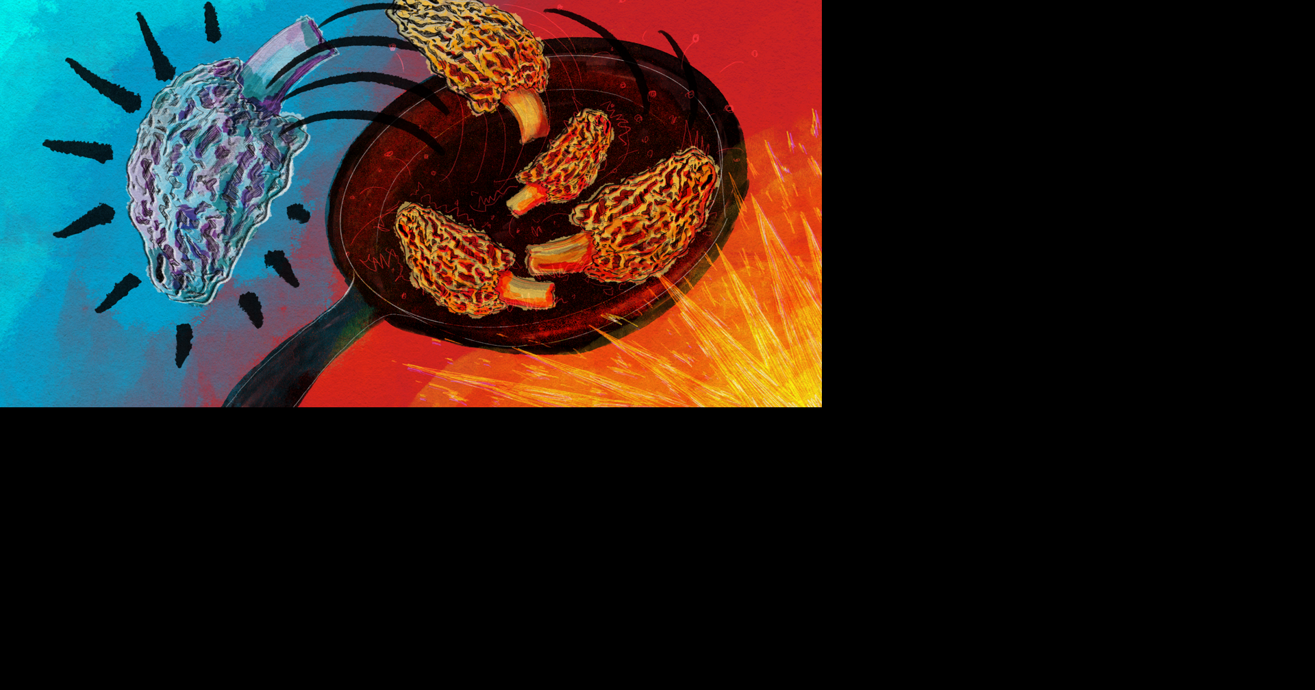 Mysterious morel mushrooms at center of food poisoning outbreak