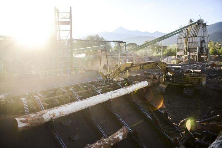 Logs to lumber in Livingston Photo Essays