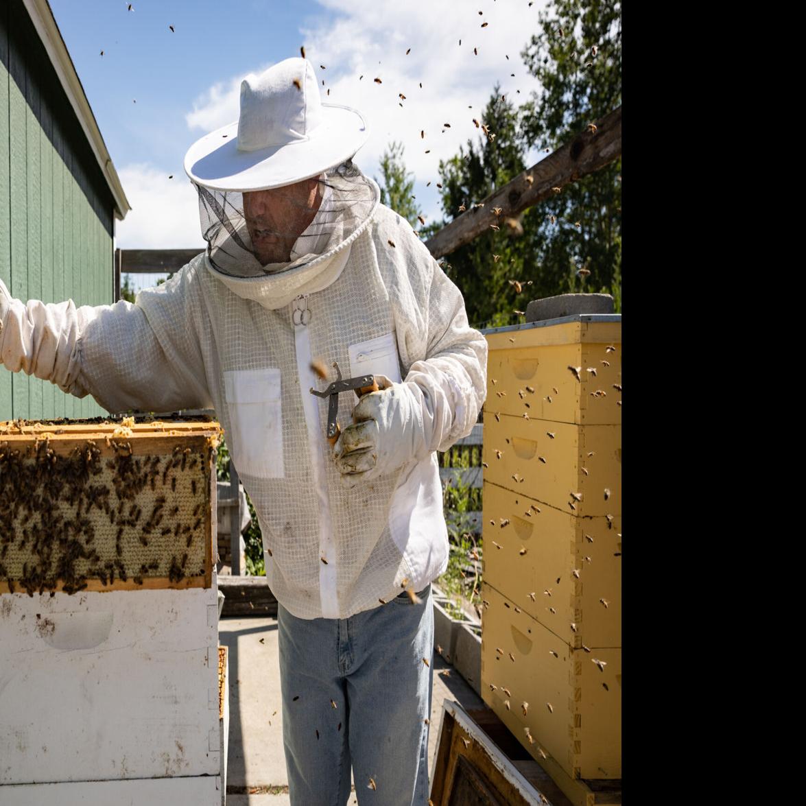 Veterans use beekeeping to improve well being - VA News