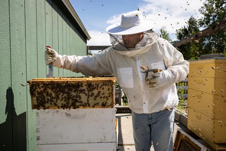 Louisiana Beekeepers Association - Resource