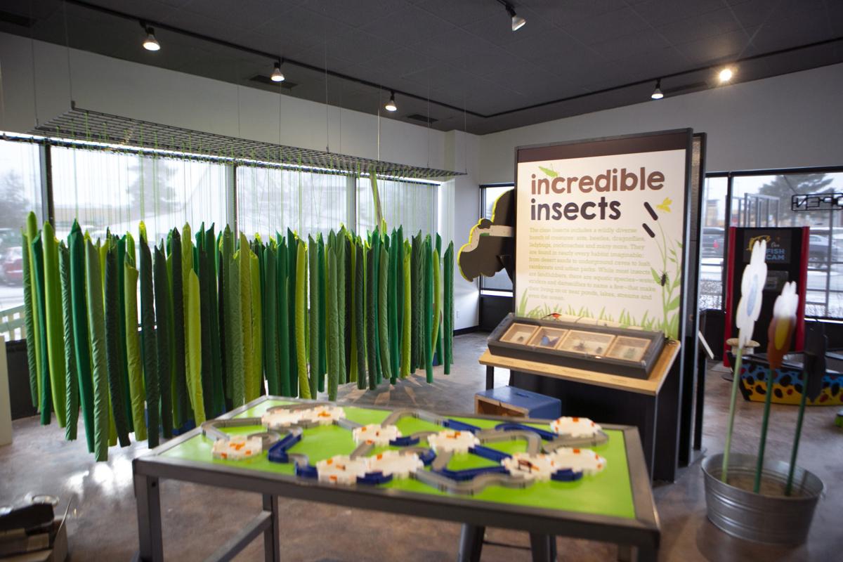 Montana Science Center reopens Monday in new, expanded home News