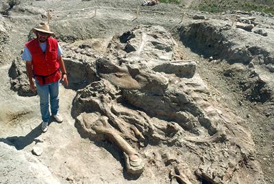 Museum of the Rockies T. rex to arrive at Smithsonian in April | News | bozemandailychronicle.com