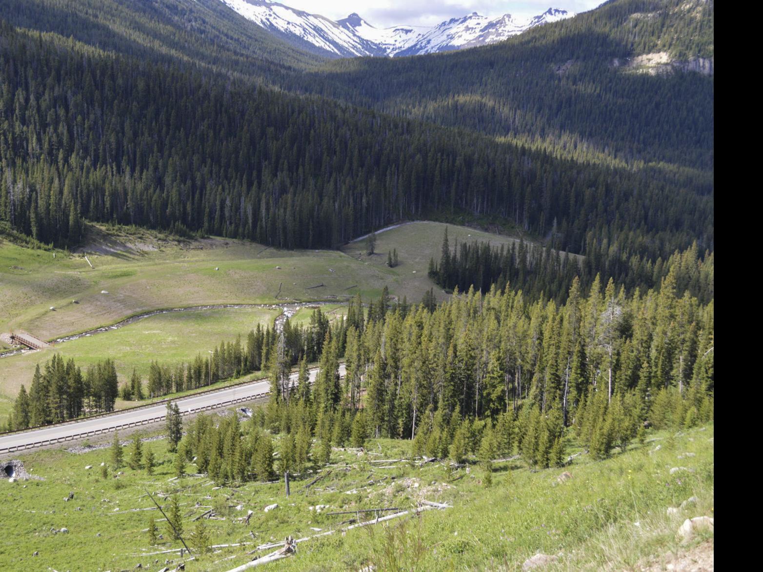 Scars Of The Past Cleaning Up Abandoned Mines And The Fight Over