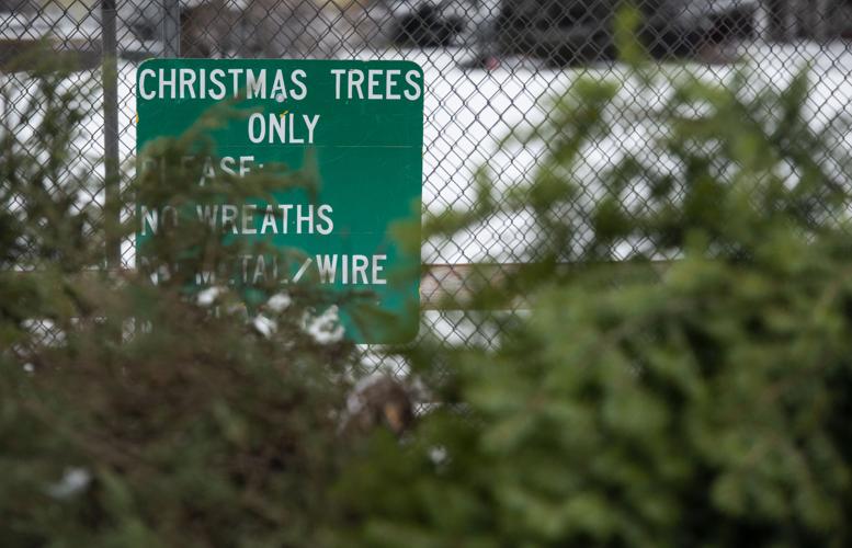 Christmas tree dropoff sites are open around Bozeman News