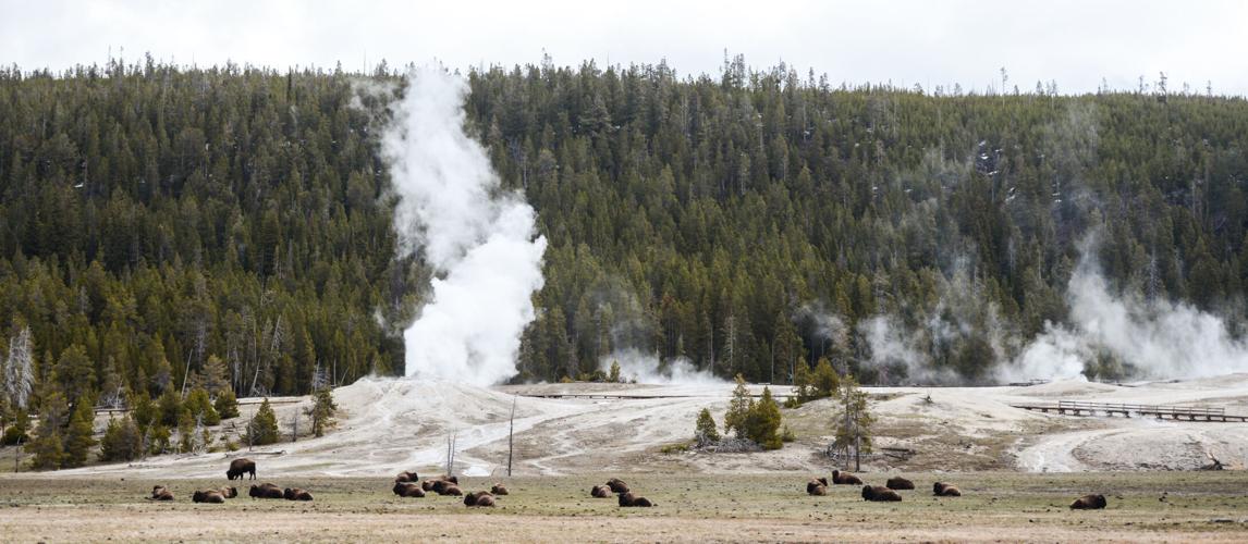 Yellowstone National Park saw 32% dip in visitation through 2022