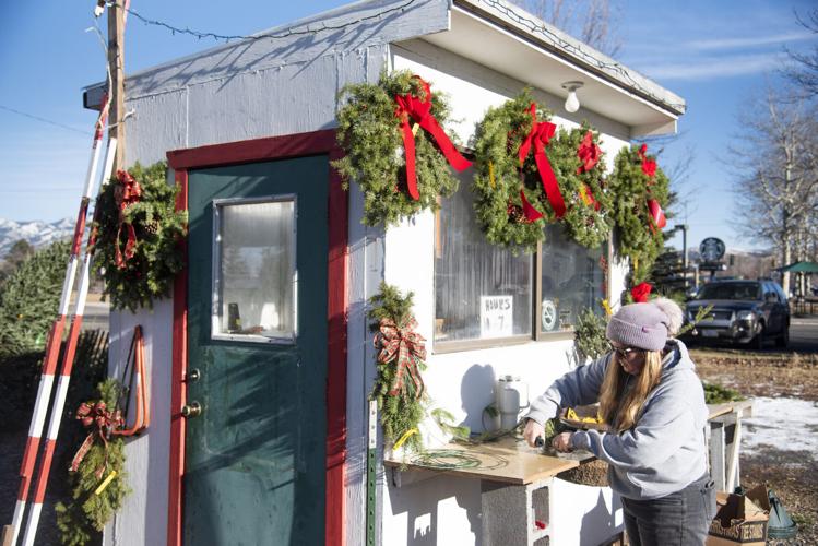 There's still time How to find Christmas trees around Bozeman