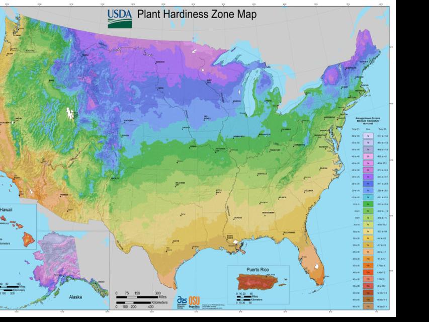 Plant hardiness zones What do they mean? Are they important