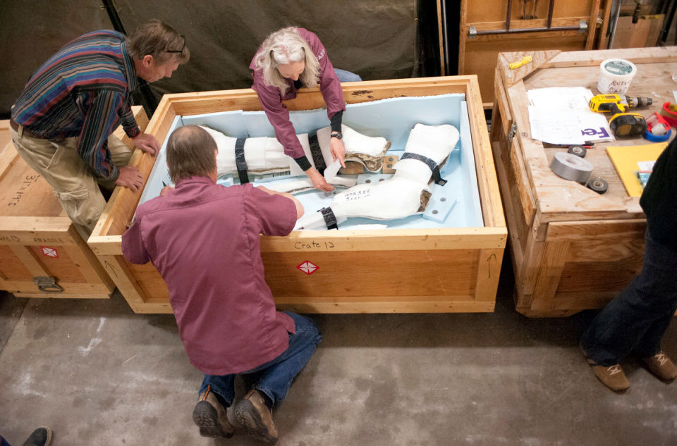 Wankel T. Rex Gets New Home In Smithsonian Dinosaur Hall | News ...