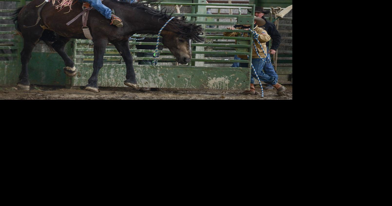 Photo gallery Ennis 4th of July Rodeo Local Sports