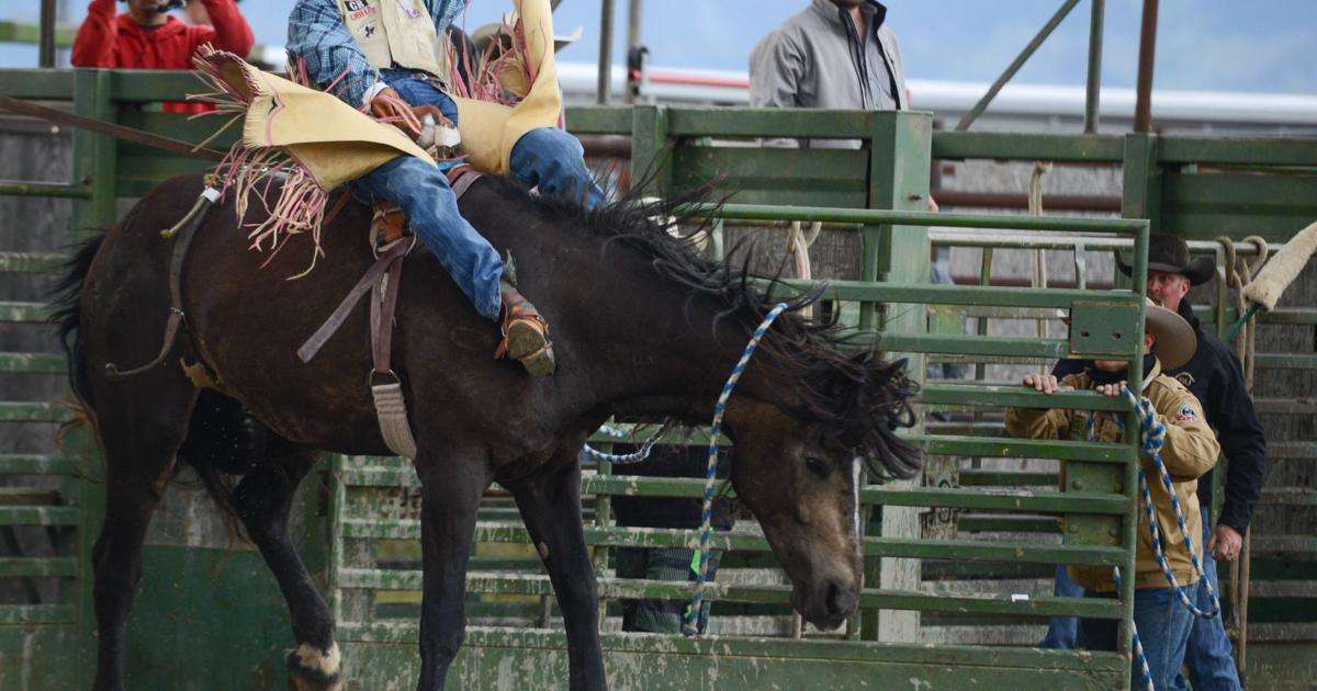 Photo gallery Ennis 4th of July Rodeo Local Sports