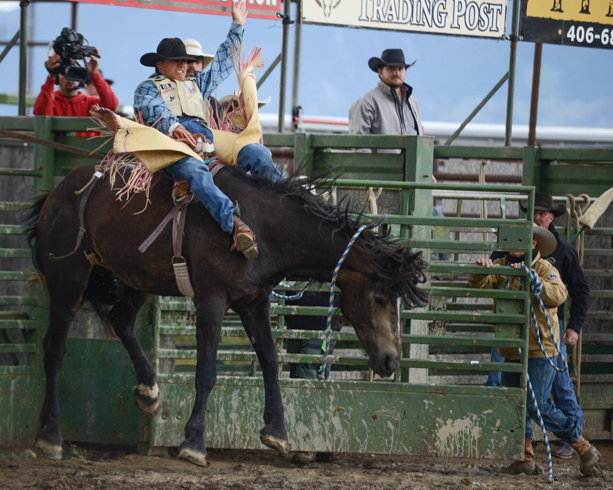 Photo gallery Ennis 4th of July Rodeo Local Sports