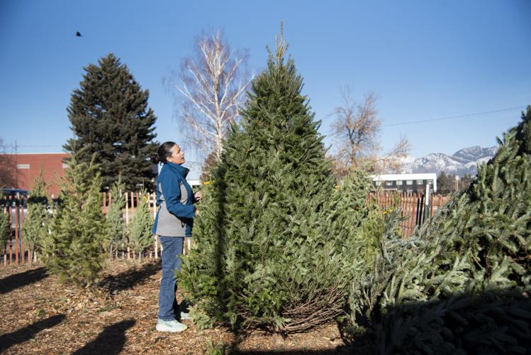 There's still time How to find Christmas trees around Bozeman